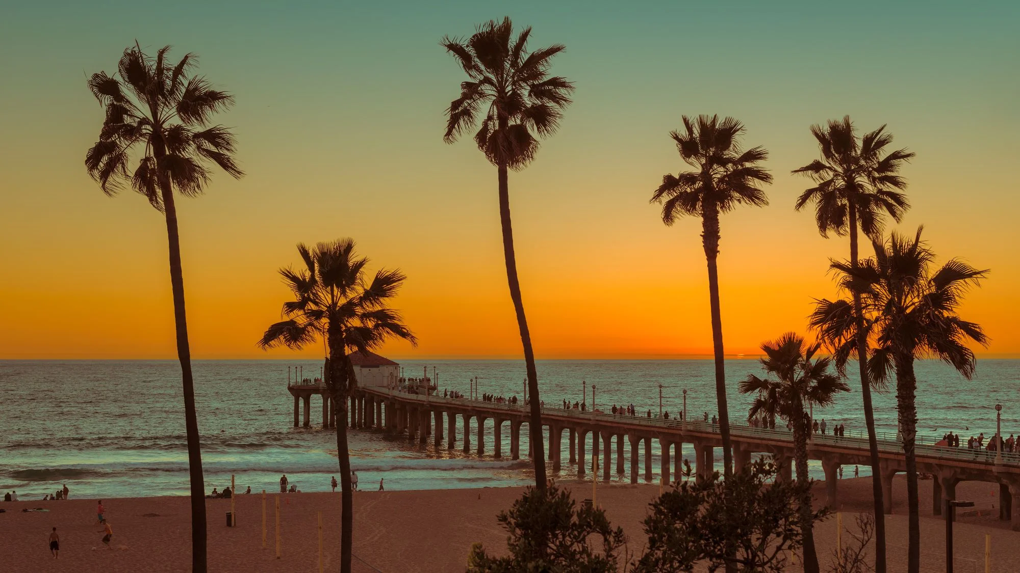 Sub Banner Image 1